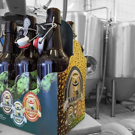 Отель Recknitztal-hotel 4*